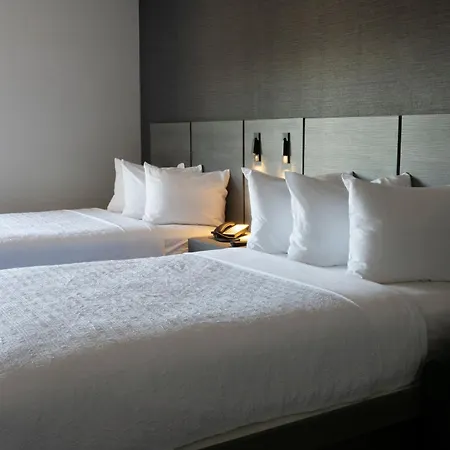 The Wexford Hotel-3